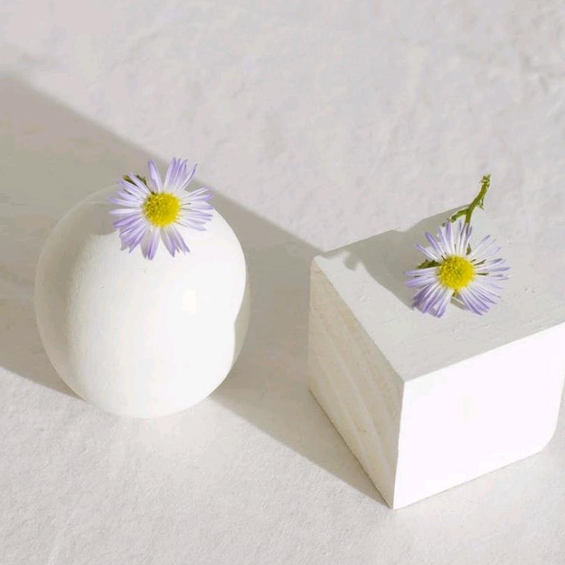 木@木机用户63778860577