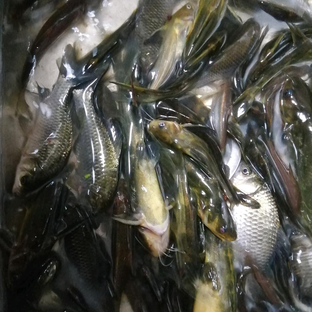 扳手