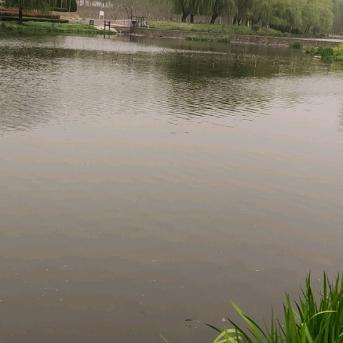 艺剪造型官方号