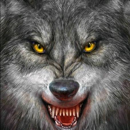 杨先生《  西北狼  》🐜🐜🐜🐜