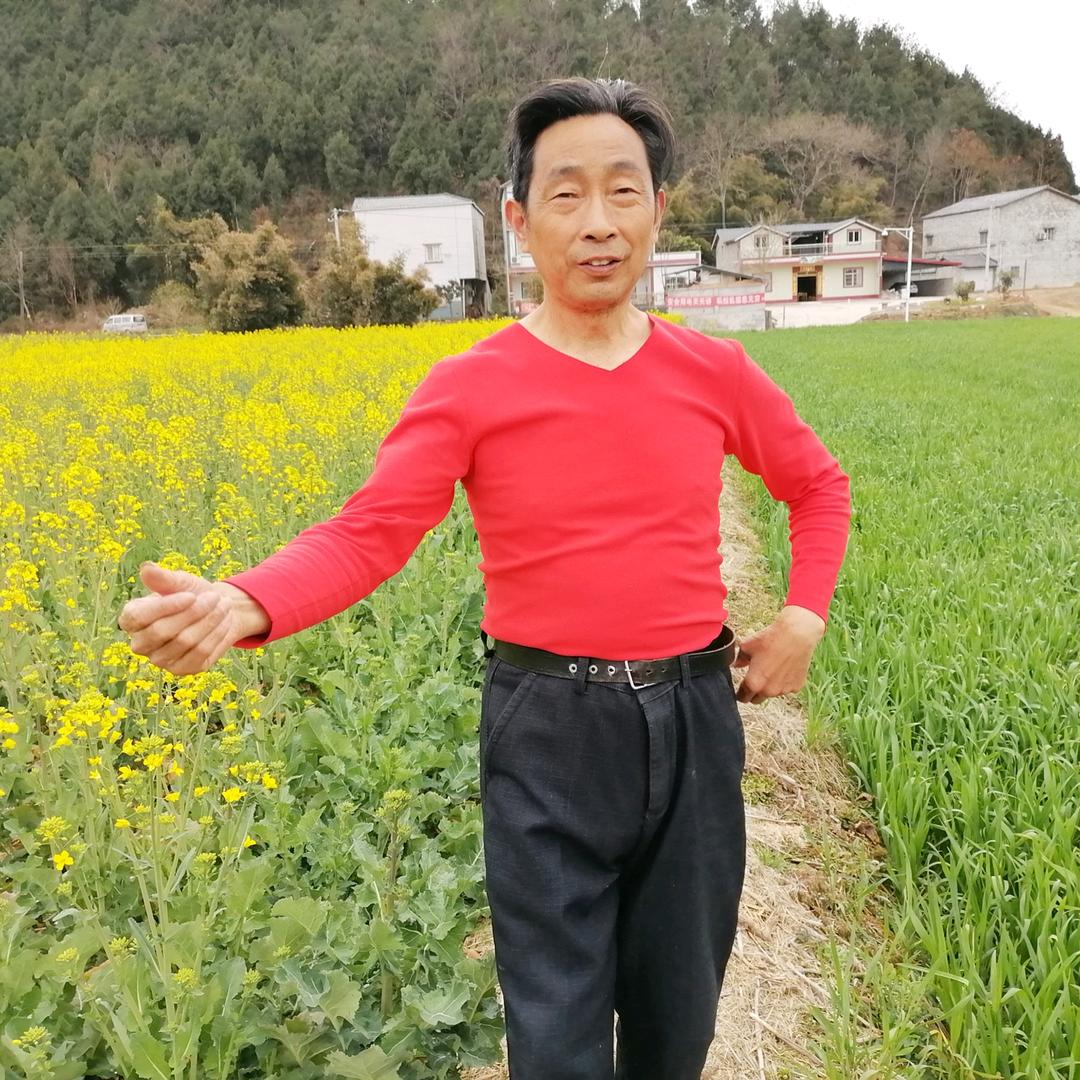 紫薇高曌