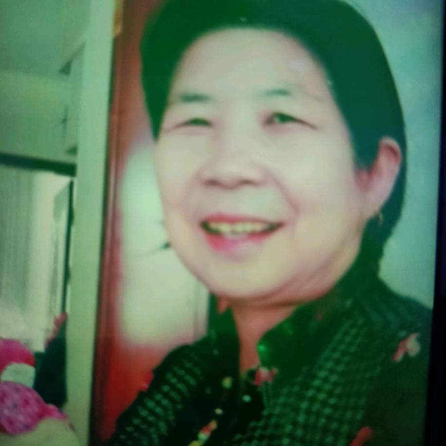 菊兰