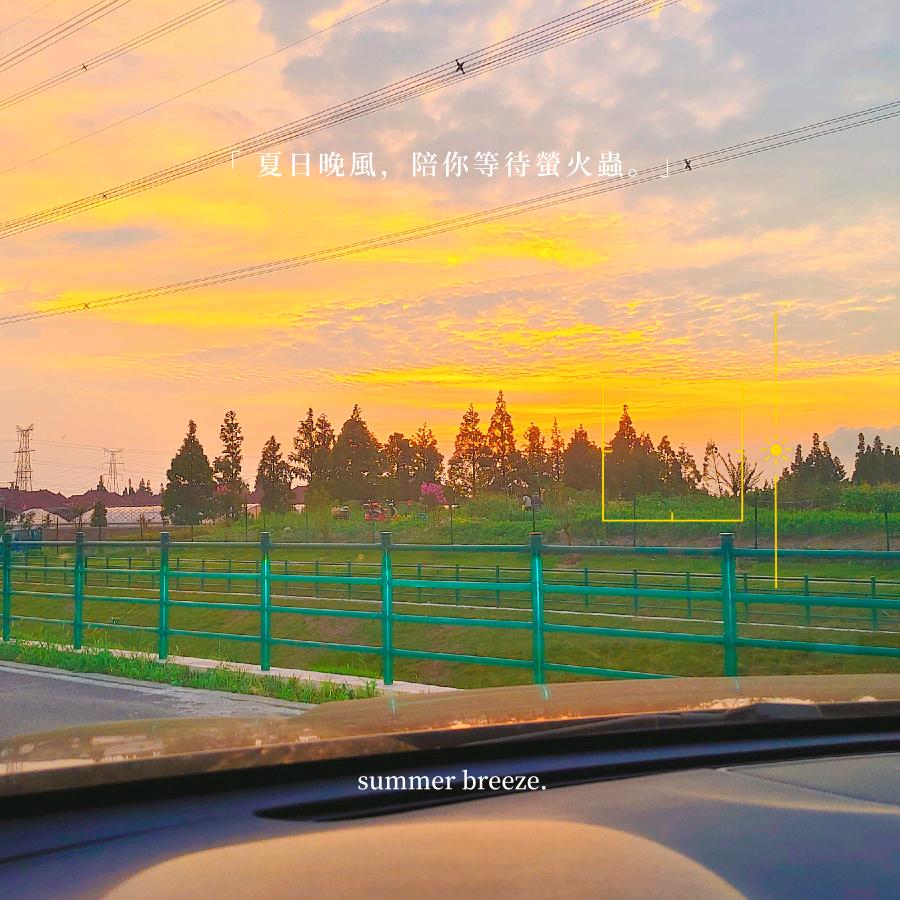 a陈皮话梅糖🍬