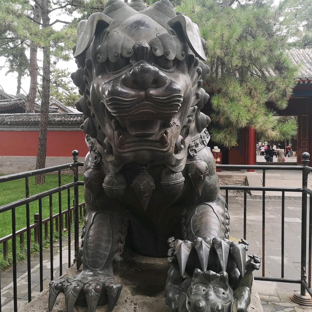 笑看人生