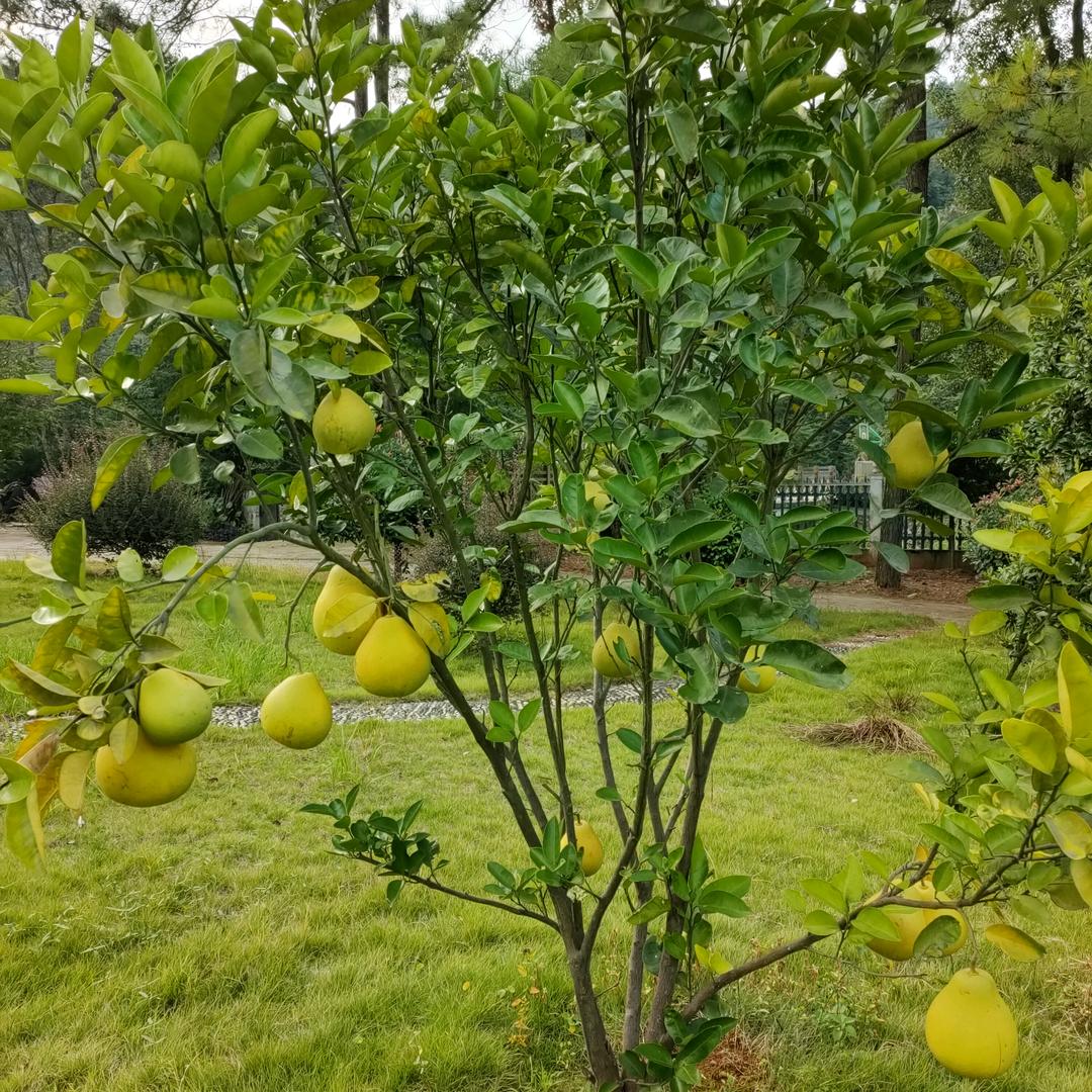 炎热的夏天