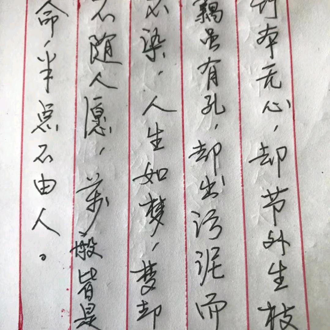 龙凤
