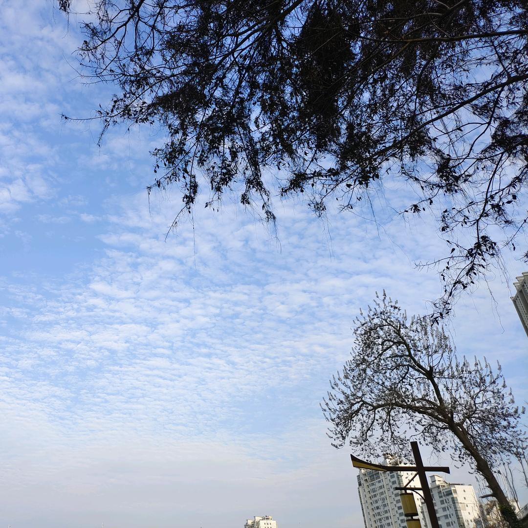 小惠惠