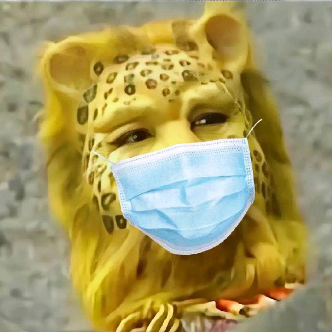 程