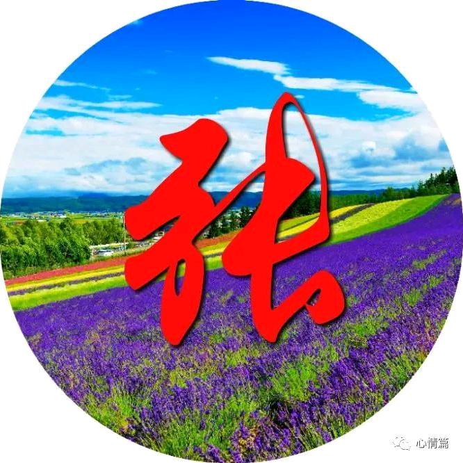 ☘️退休生活🍀