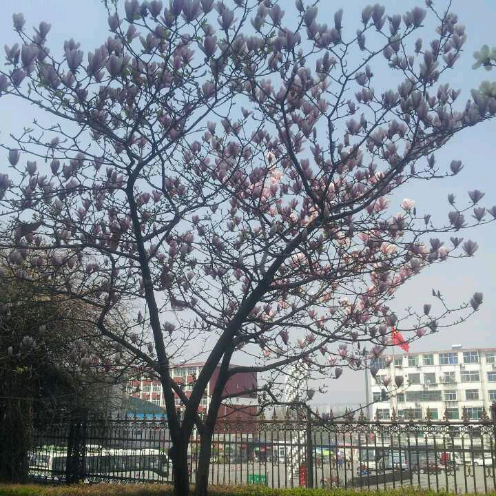 广胜寺*安