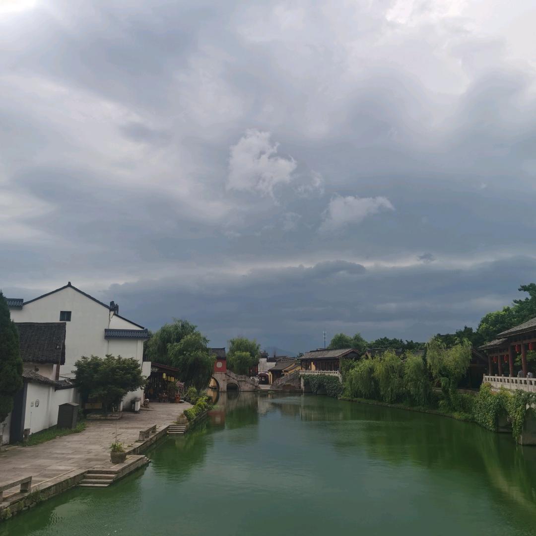 岭下晨竹