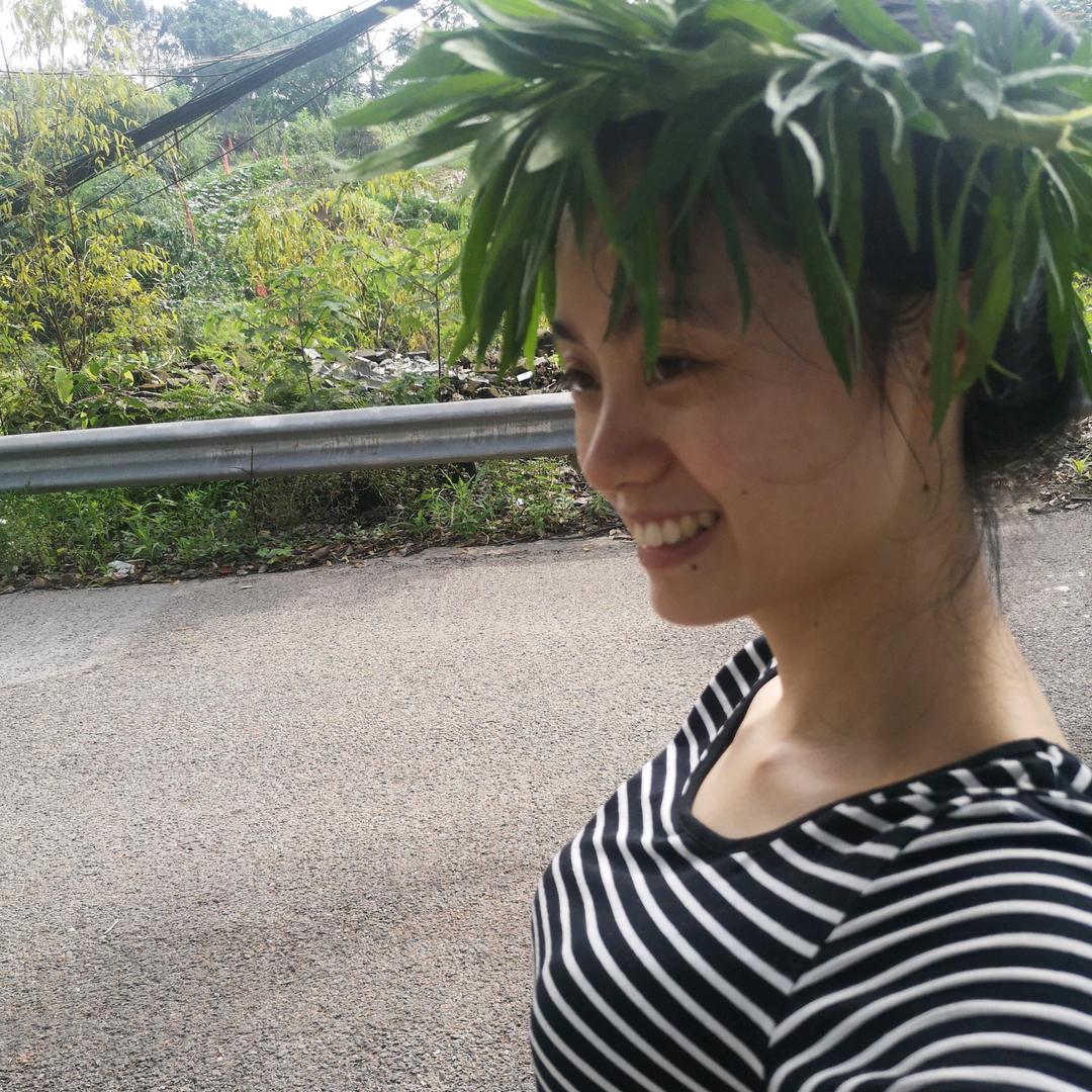 Lily-