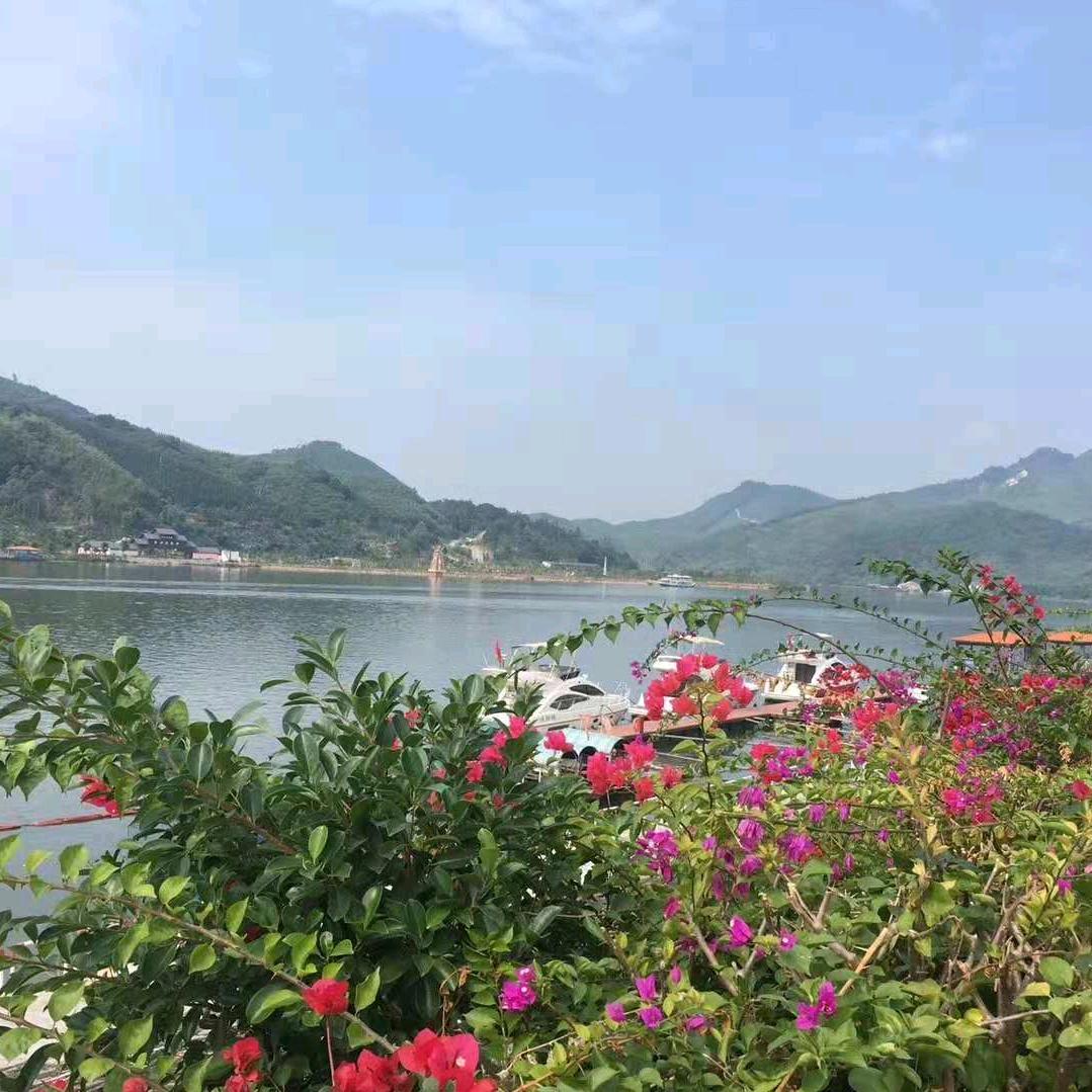 山水情