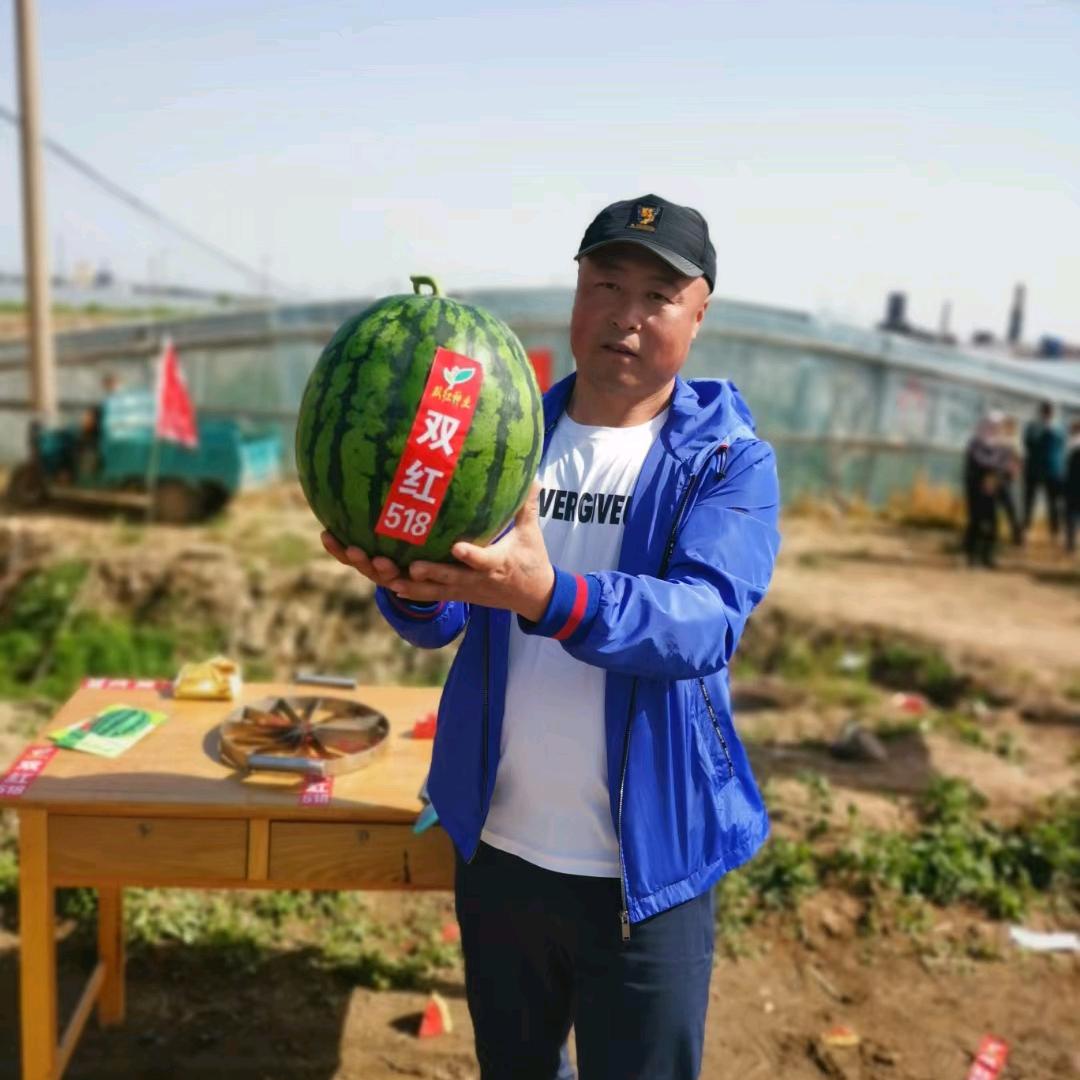 双红种业、代发团队