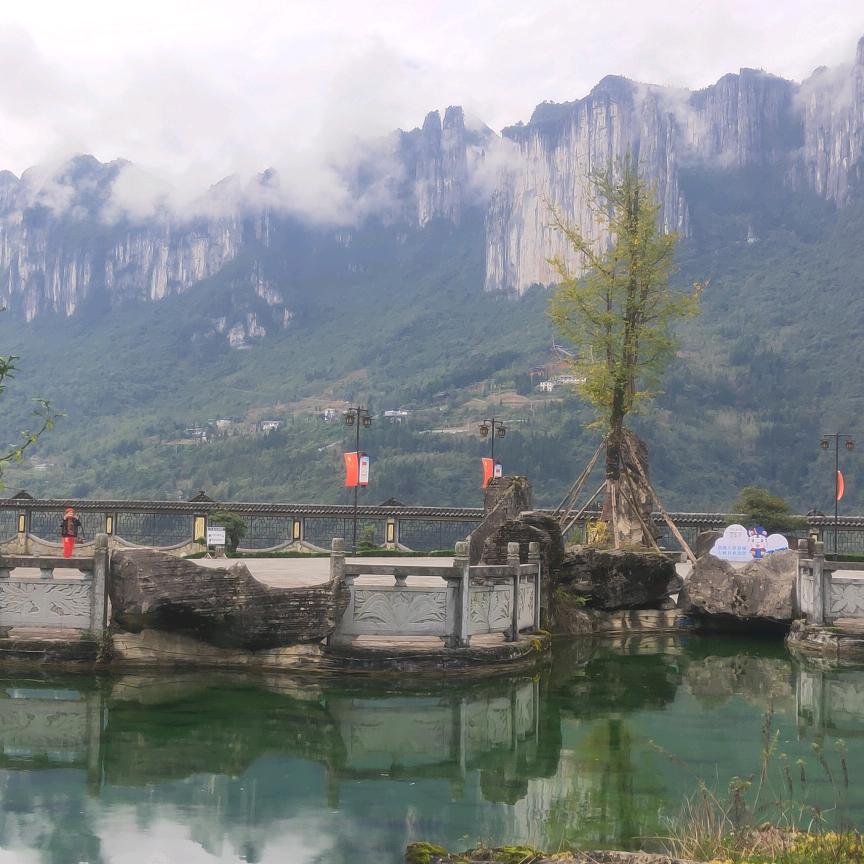 黄教练C1C2包学会