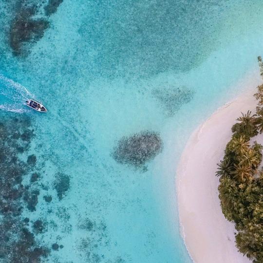 泡椒好吃，嘛嘛香