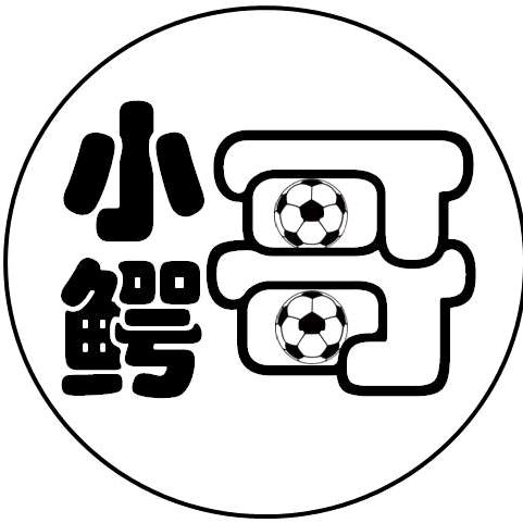 小鳄哥