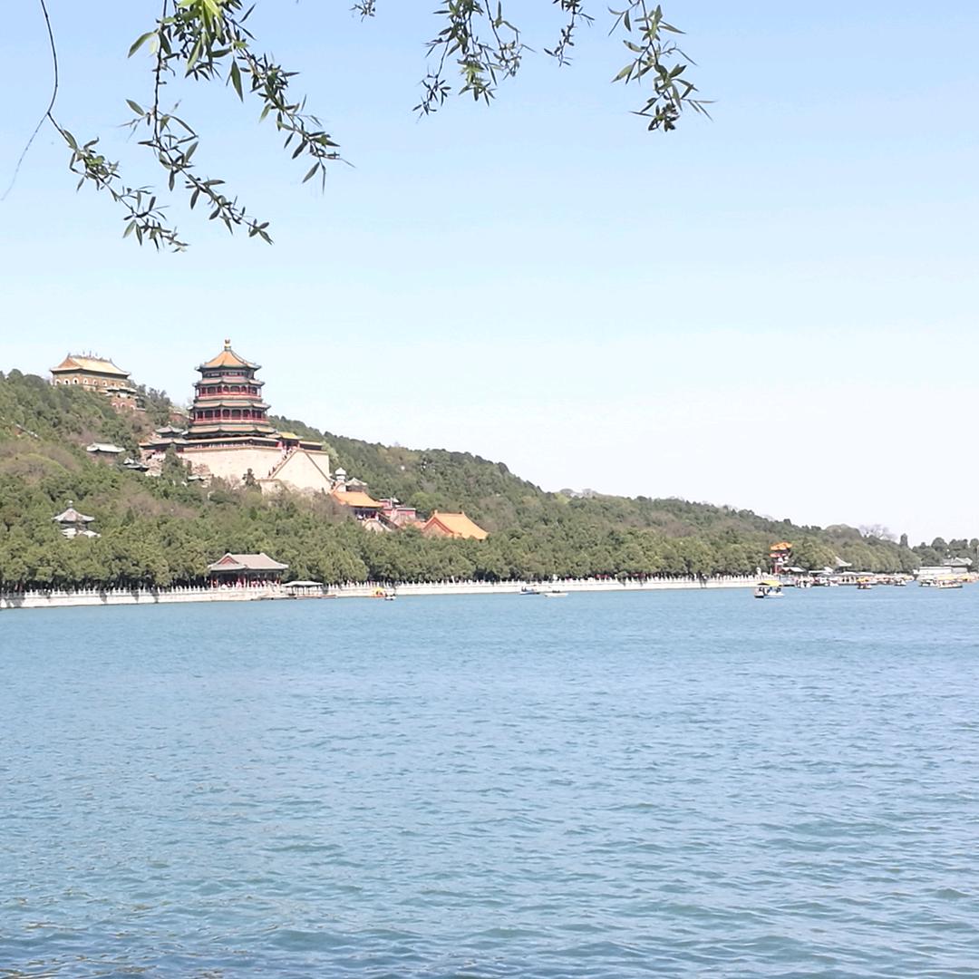 王老急