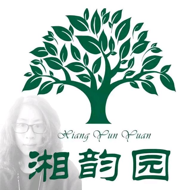 湘韵园罗汉松直播间