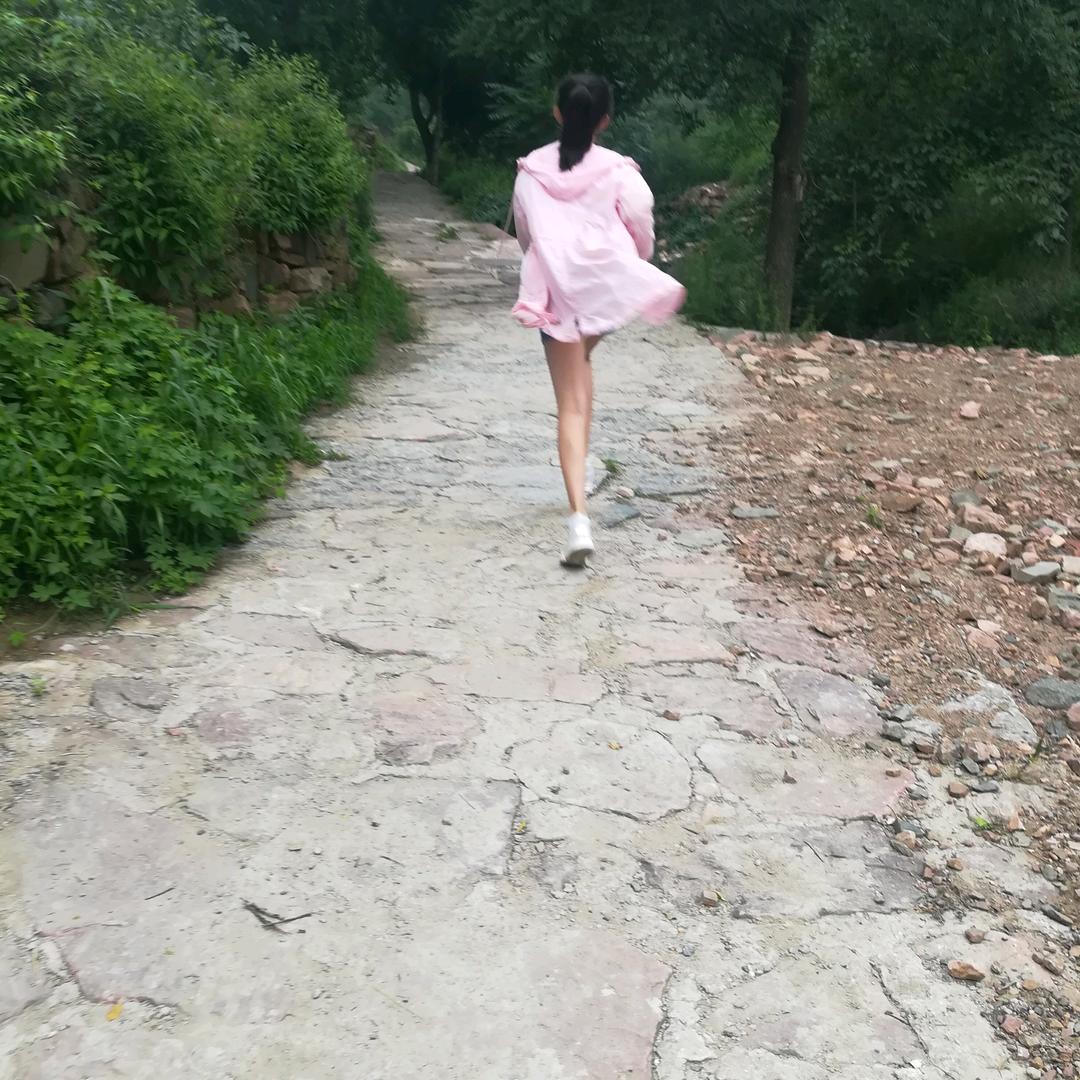 藕藕