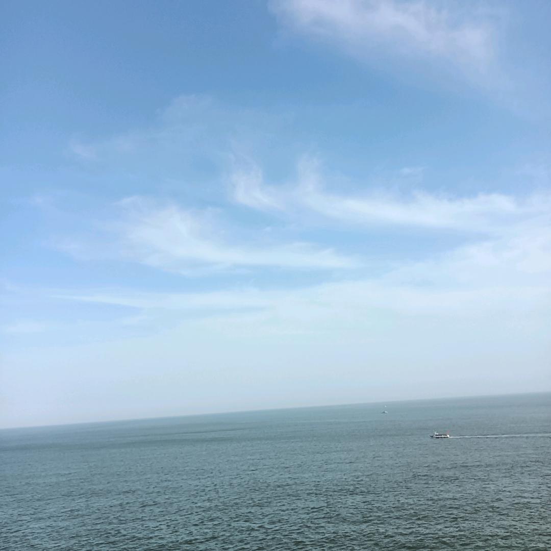 七琴