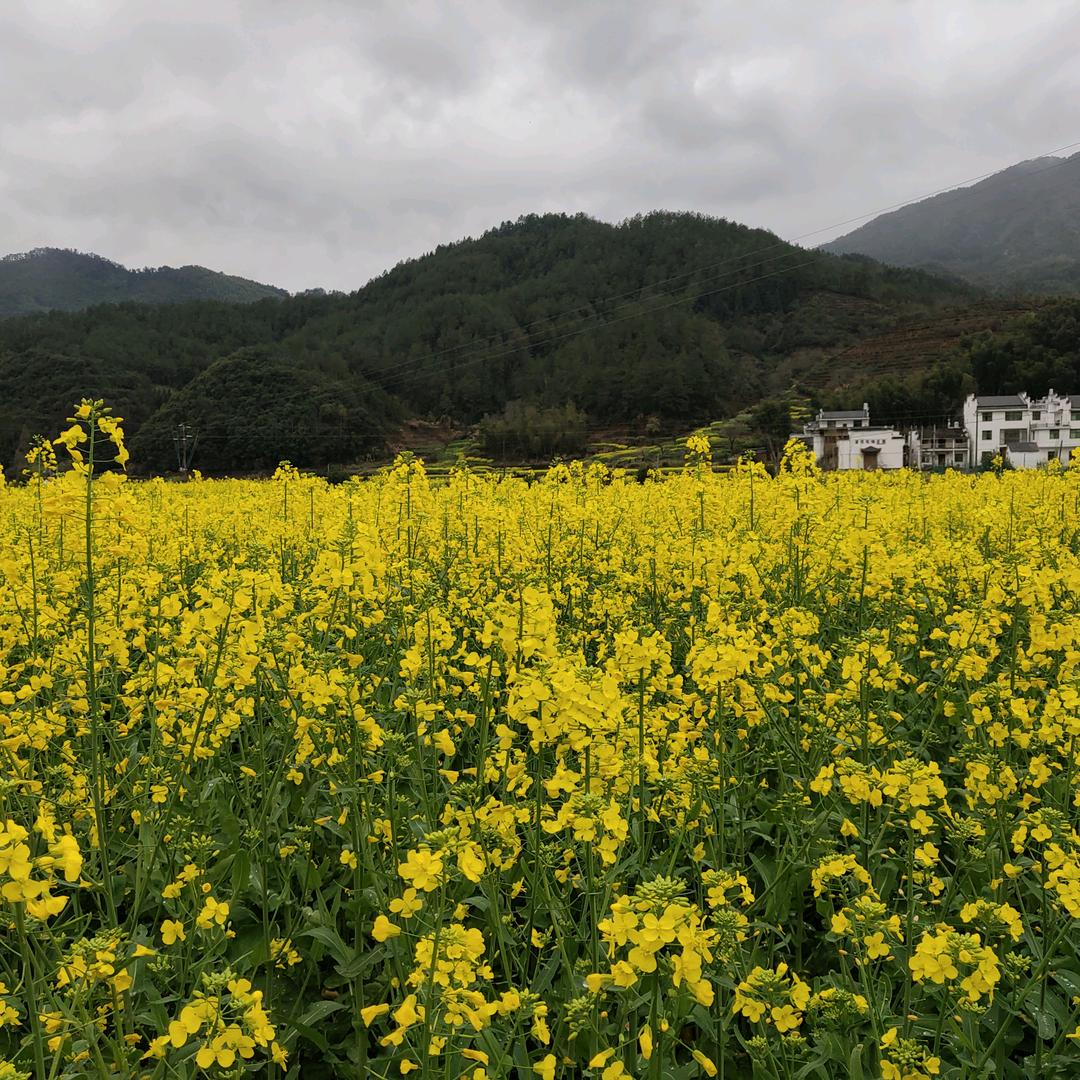 淄博美珂华厨不锈钢设备有限公司