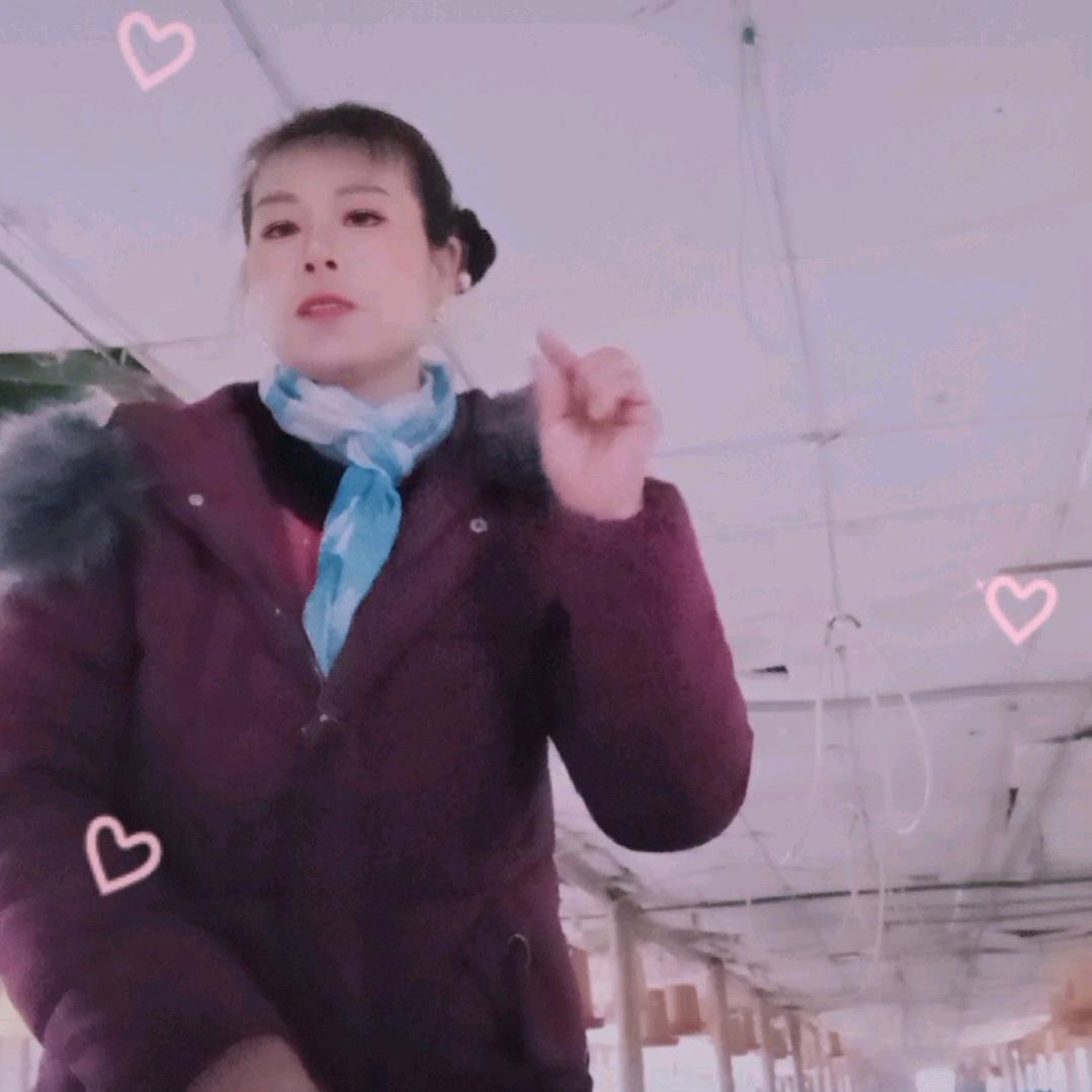 韦英