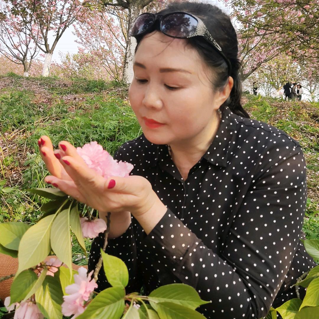 漂落的叶子（霞姐）