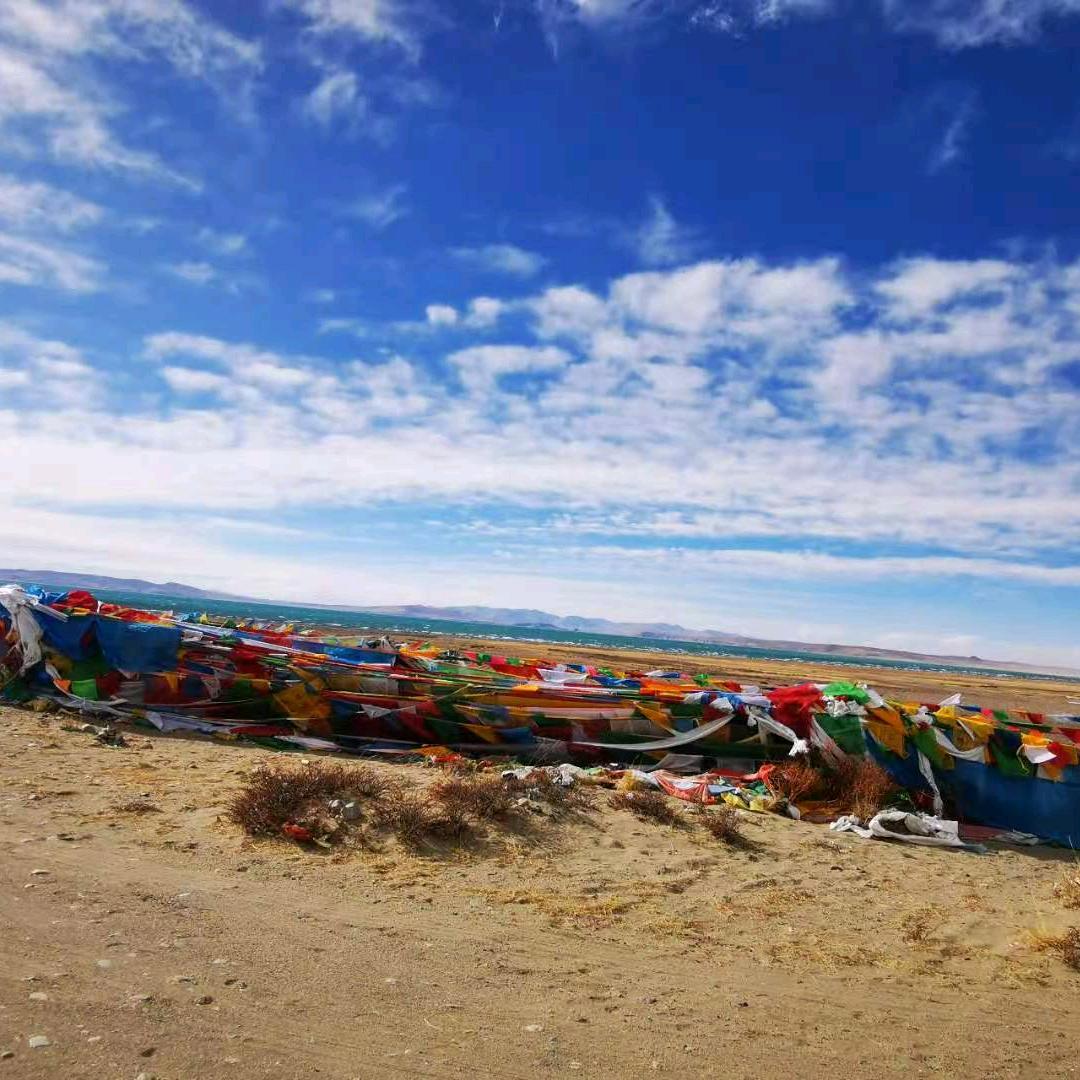 幸•运•鼠•你🌹h•m🌻