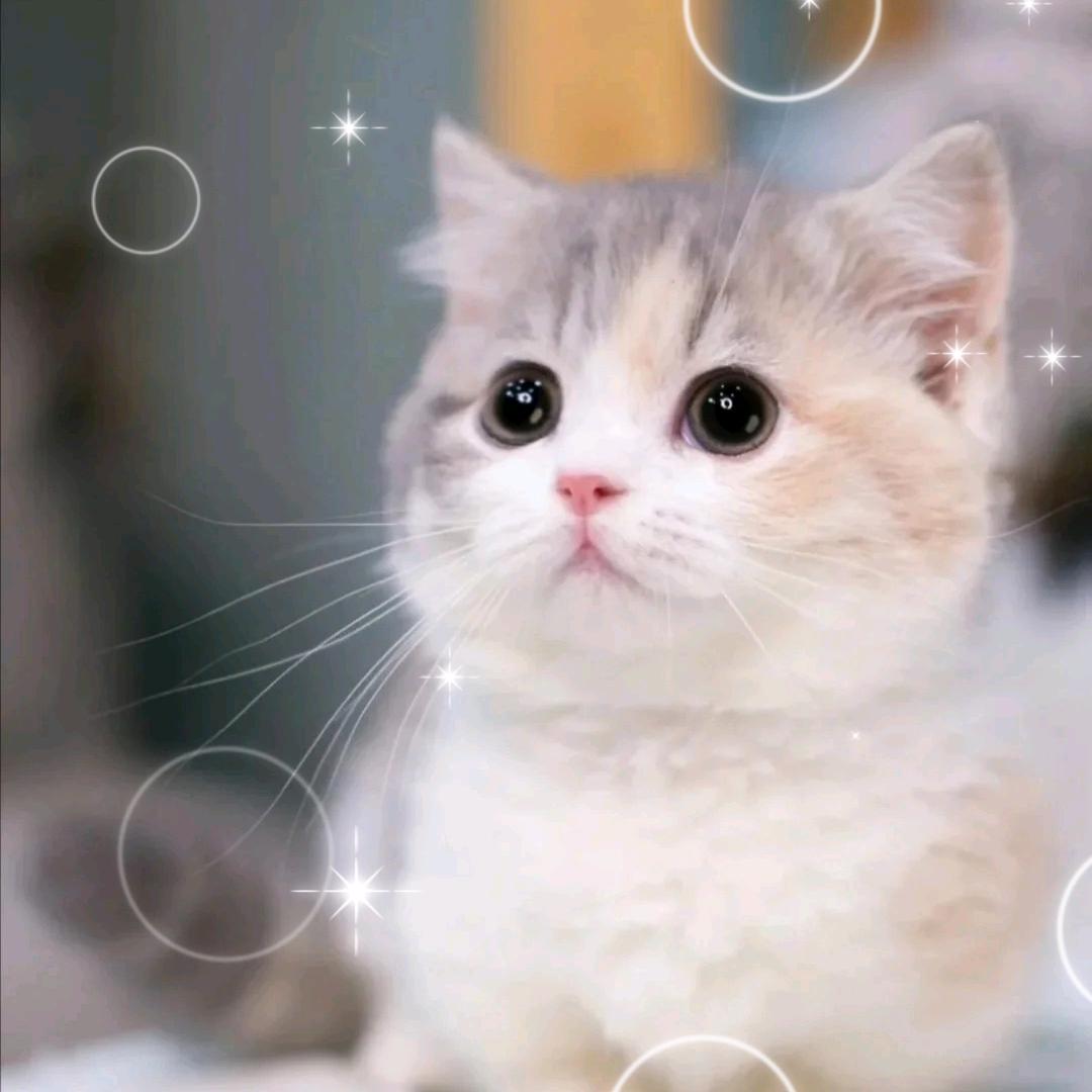 nuyoah