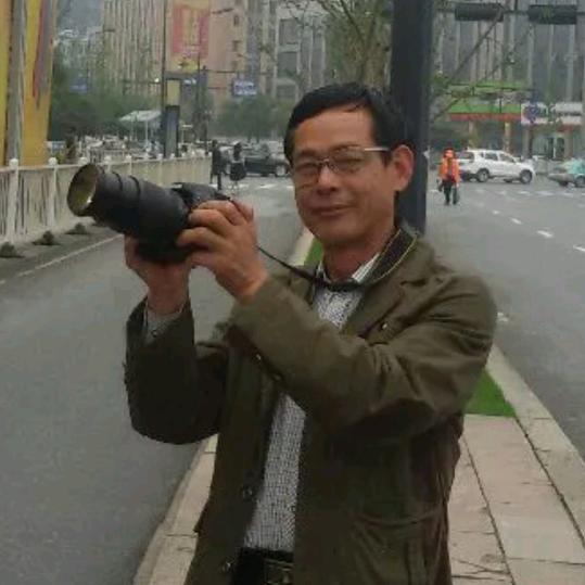 雁南飞