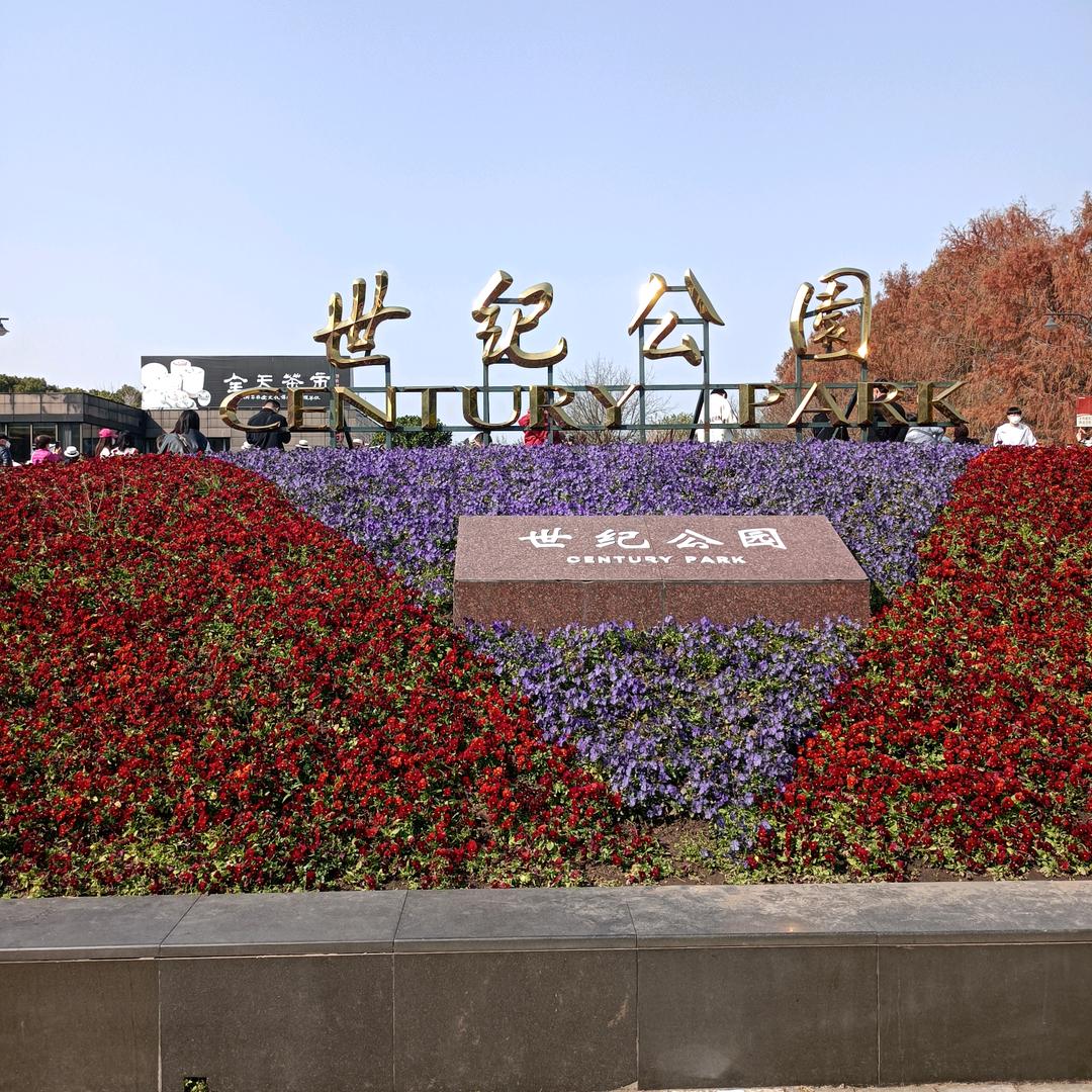 善良的心