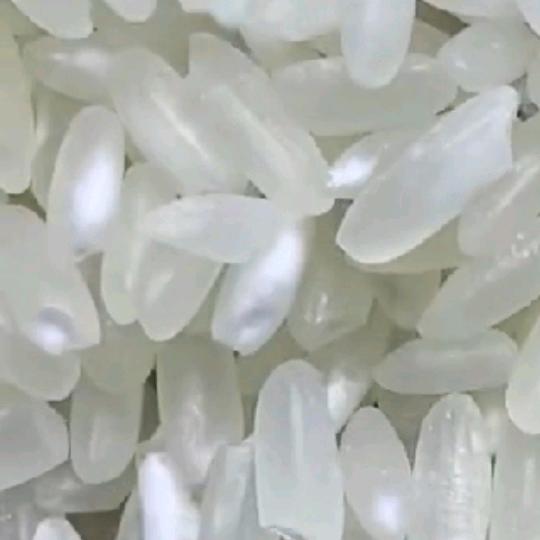 米粒儿(手机摄影)