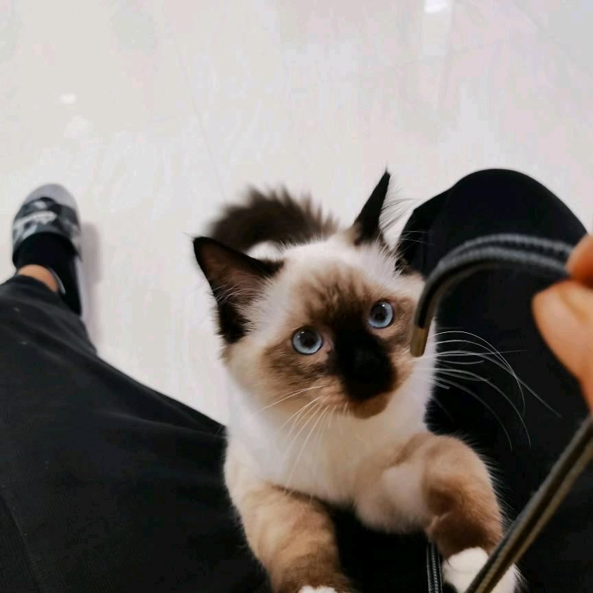 孤狼：，哦v&