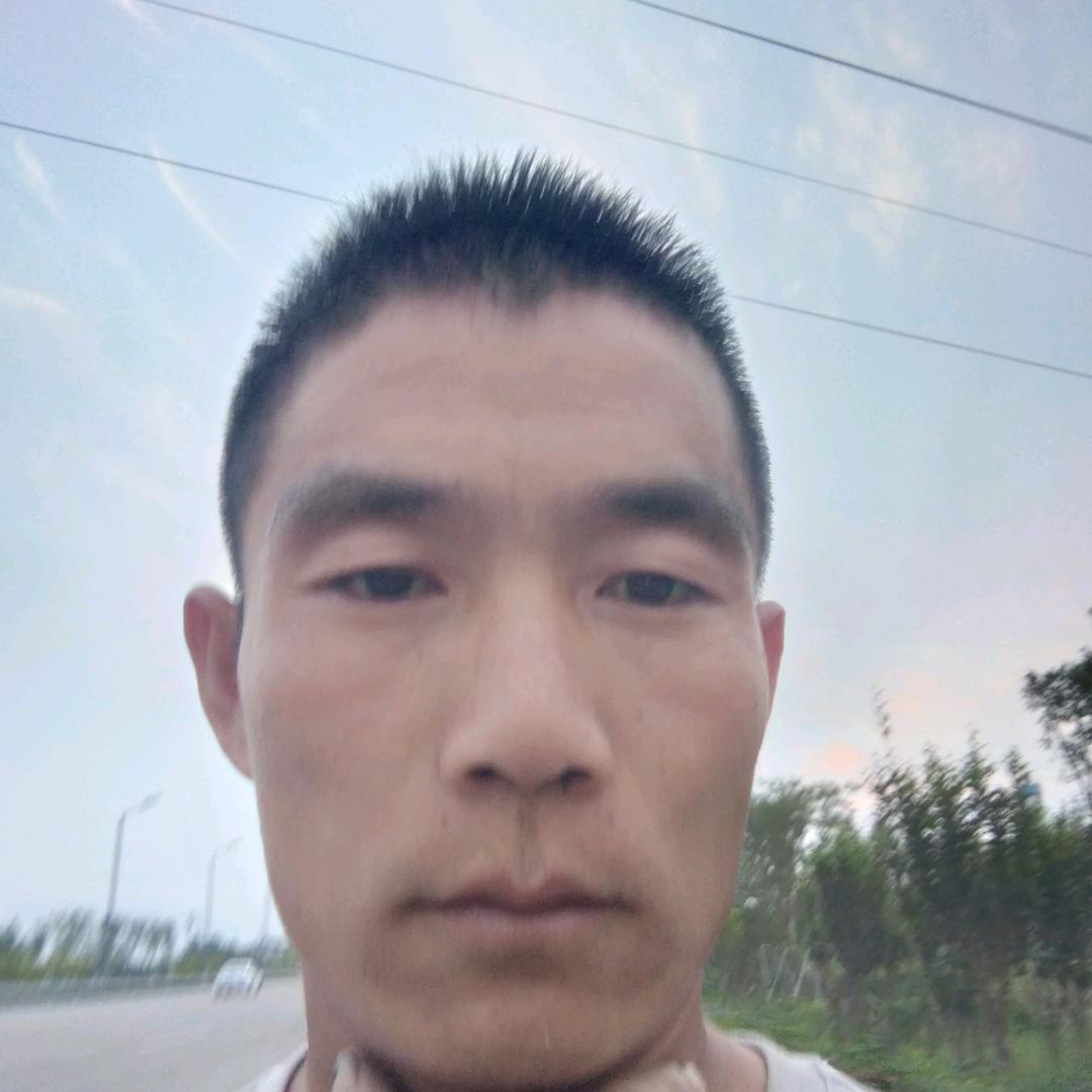 踏雪寻梅