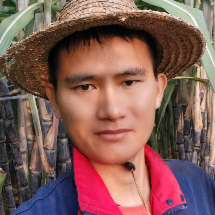 谭先生