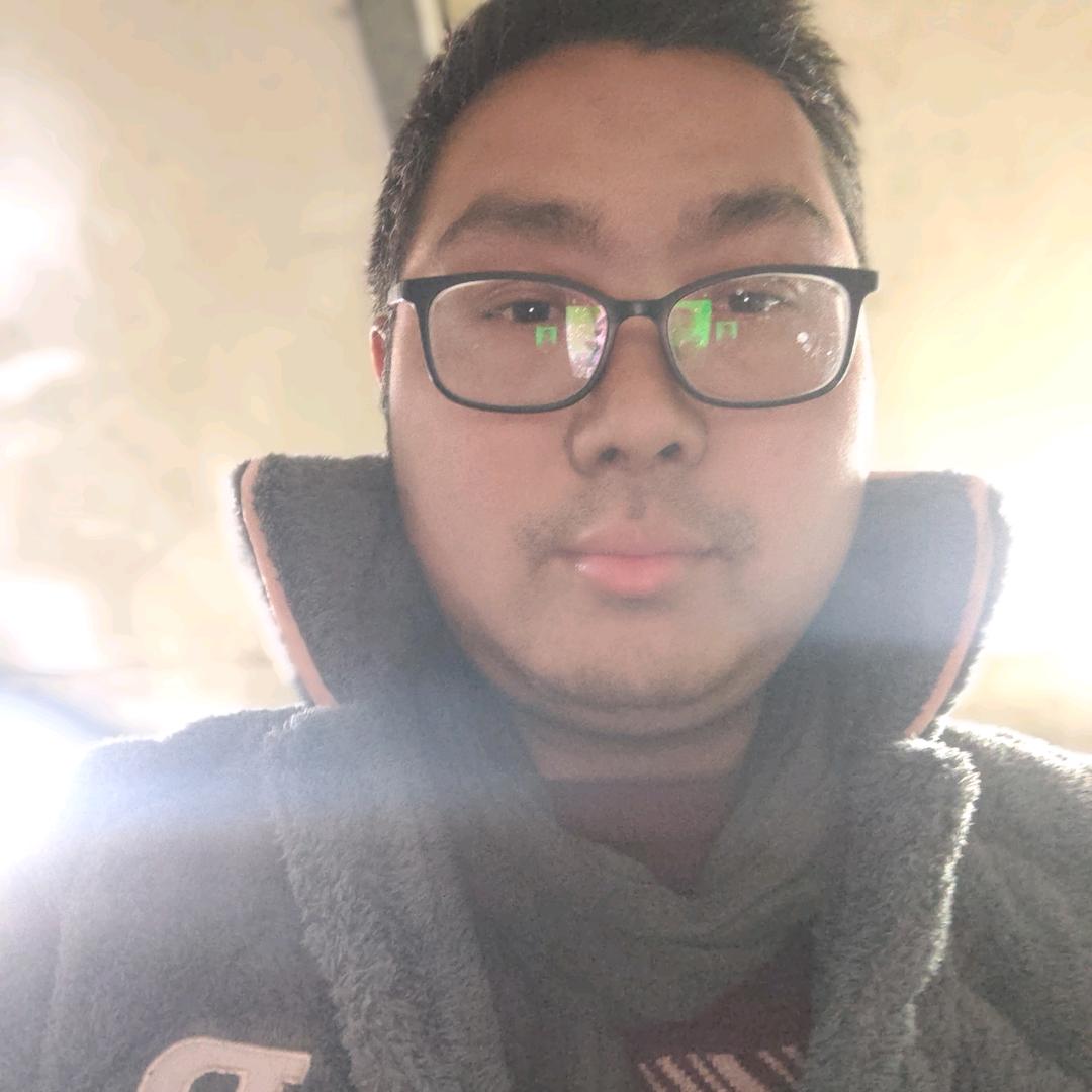 小徐电喷天然气尿素泵