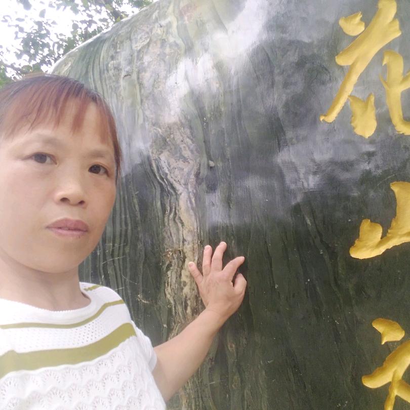 用户春夏秋冬
