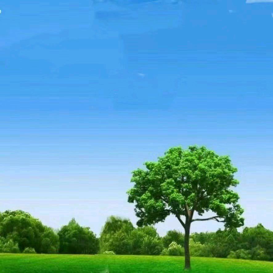 晴空万里🌞
