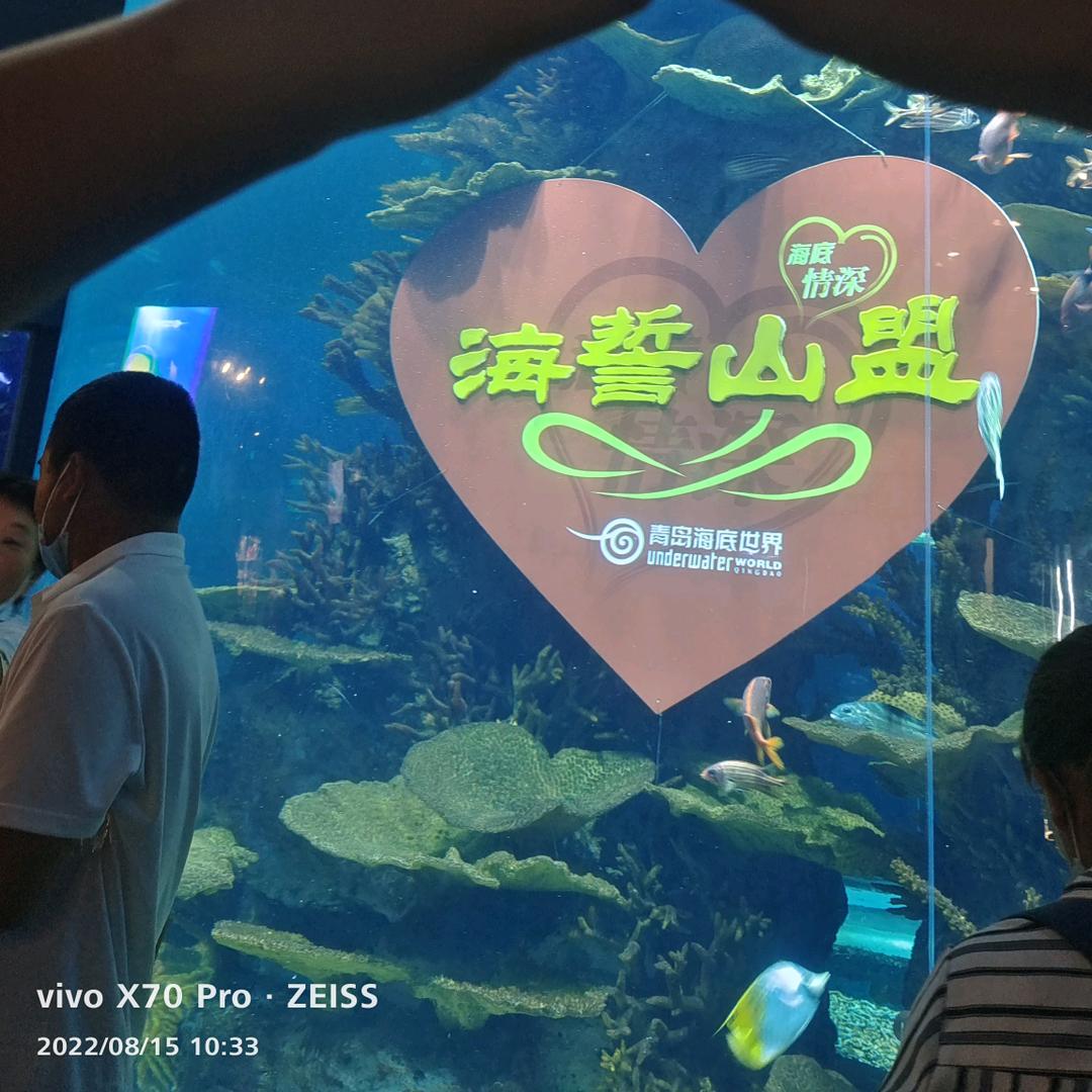 @li（｡ò ∀ ó｡）