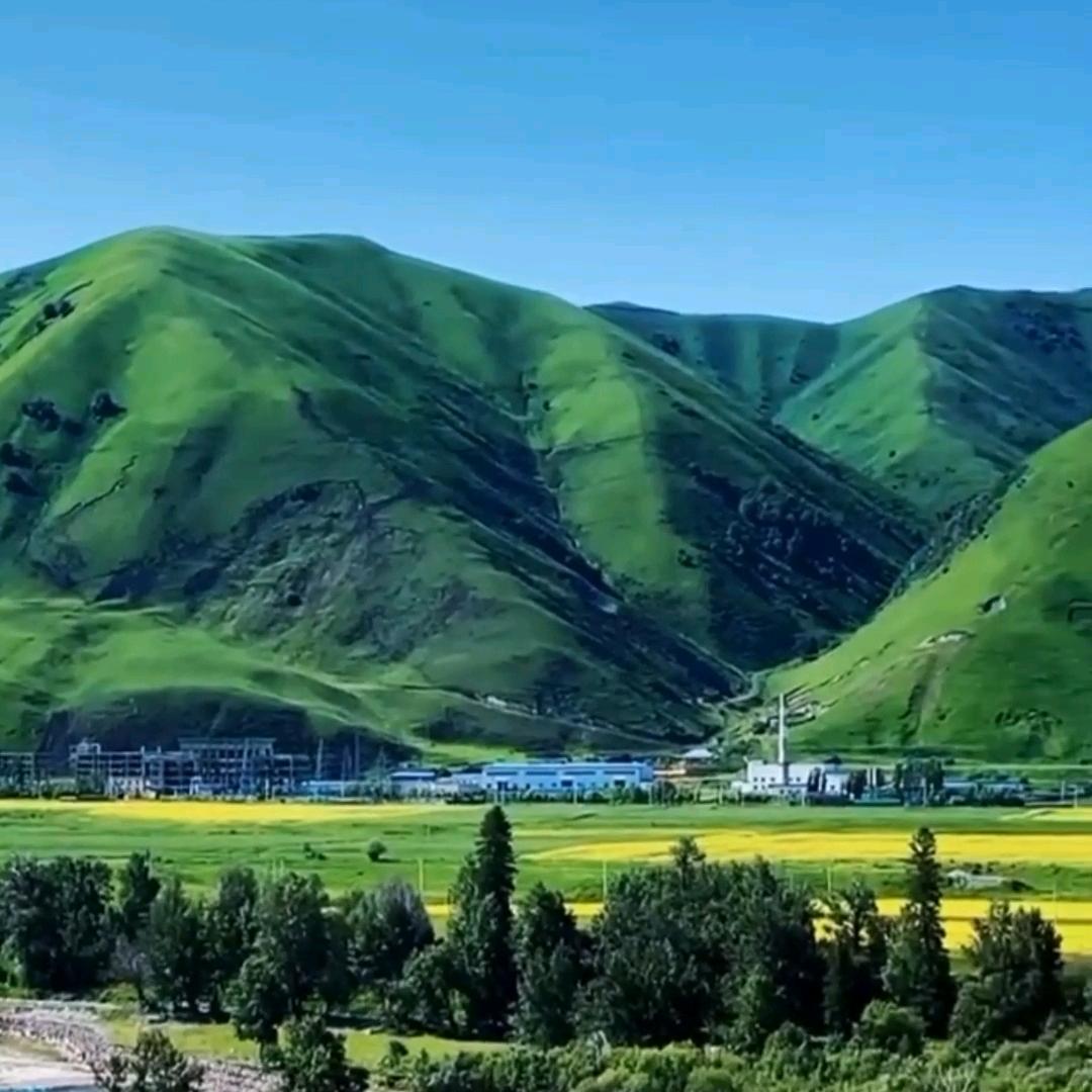 (直播)深圳