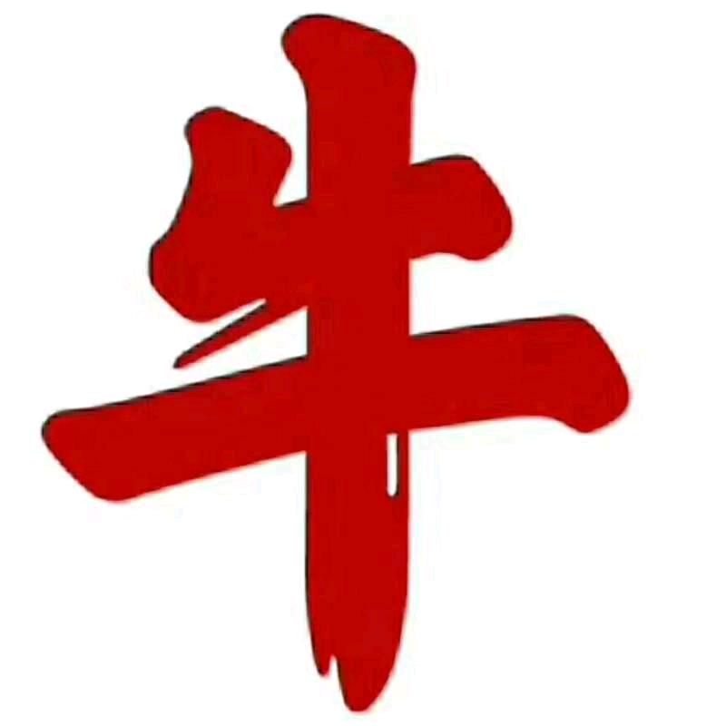 张洪宝