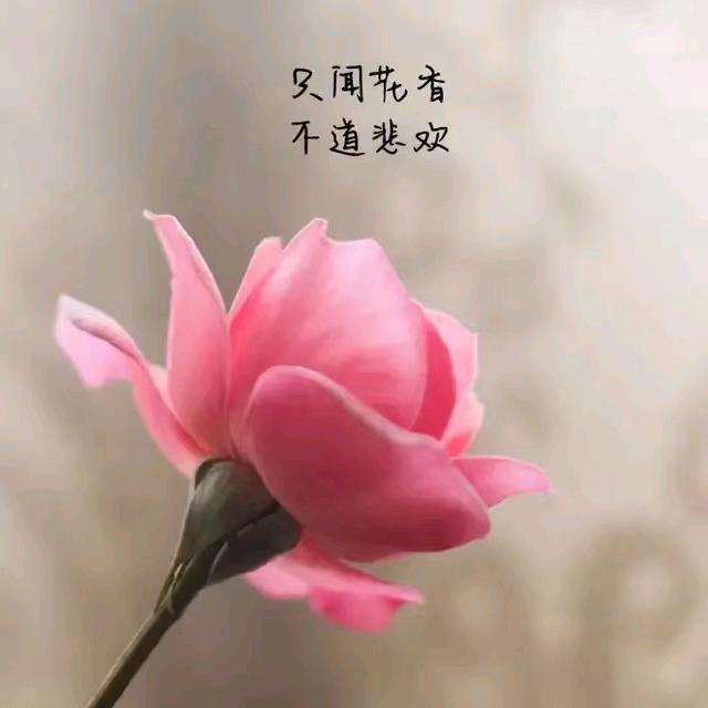 红颜未必知己