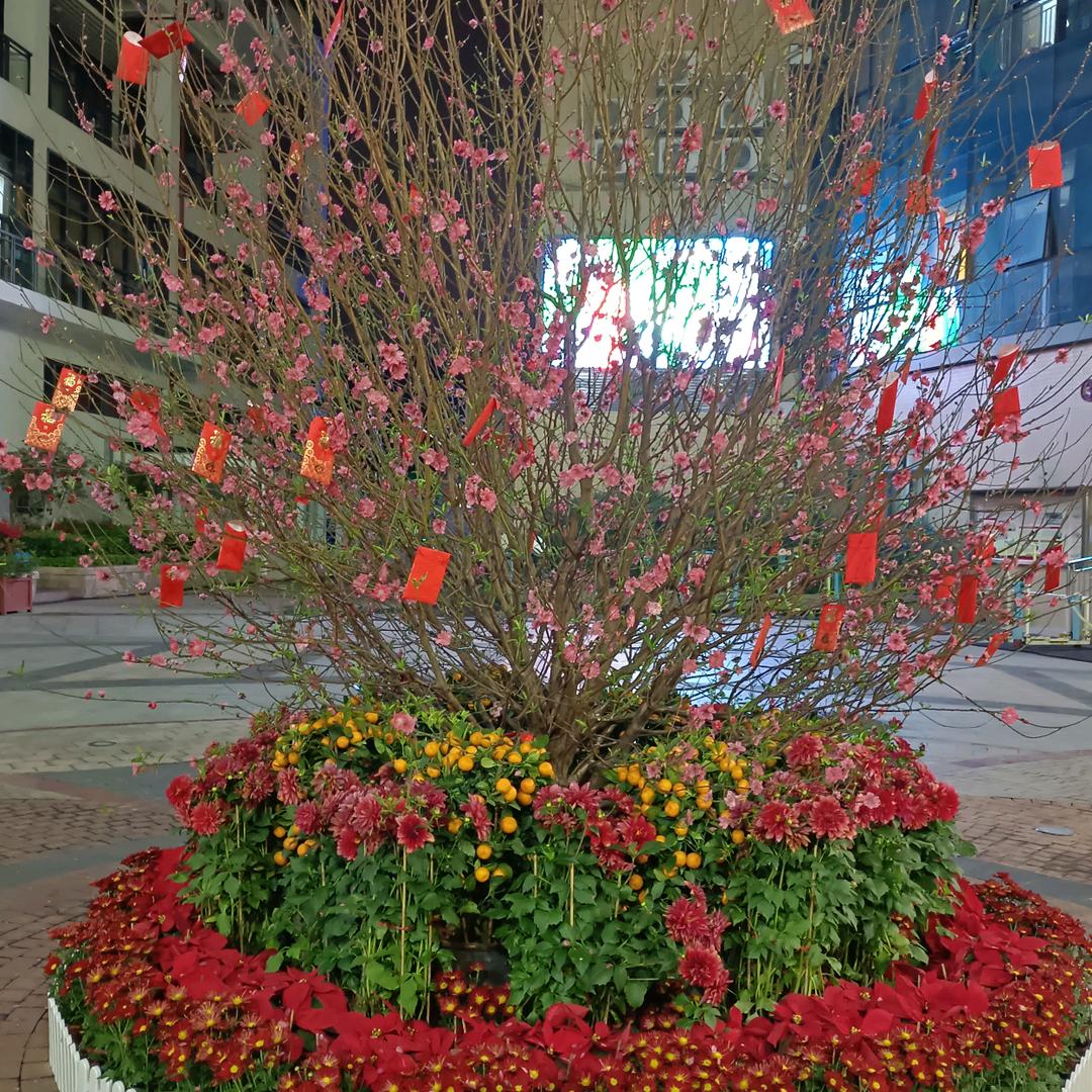 健康平安快乐（小老宫）