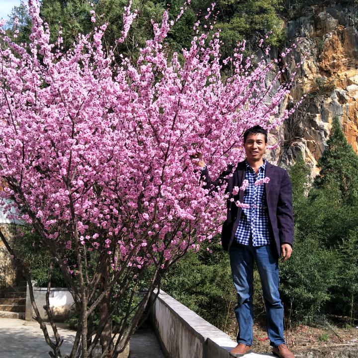 苦乐年华