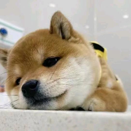 爆米发发发