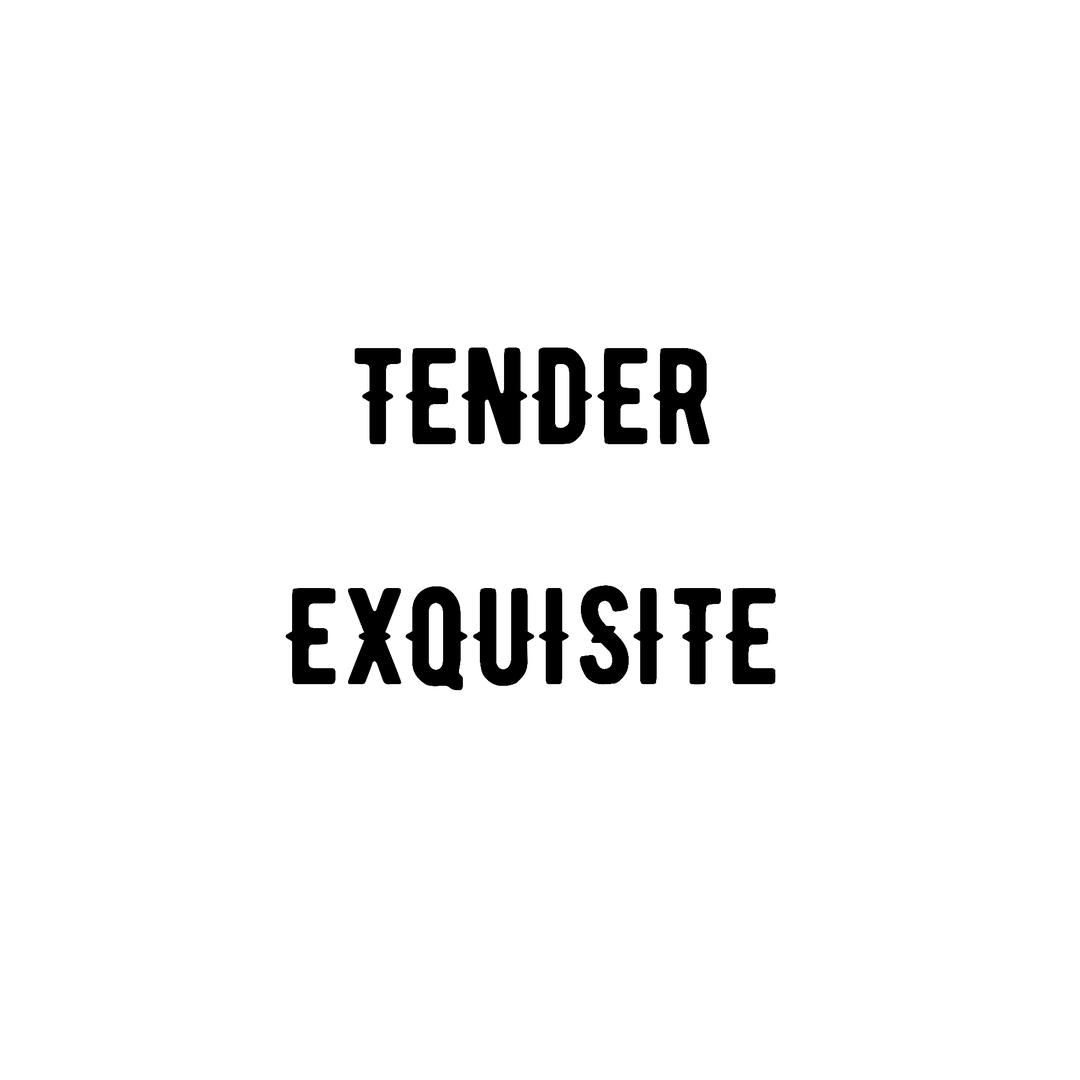 tender exquisite服饰旗舰店