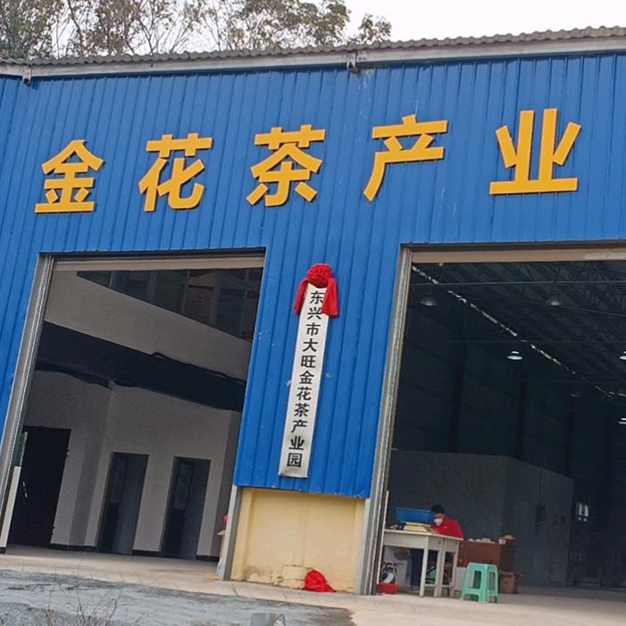东旺金花茶