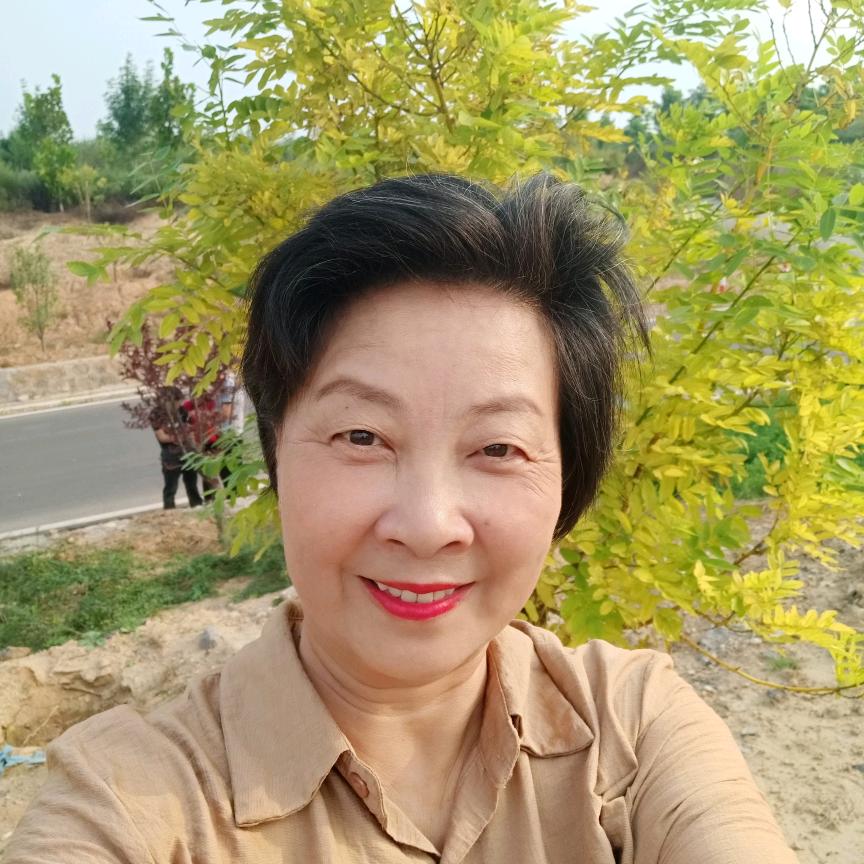 抚琴观海