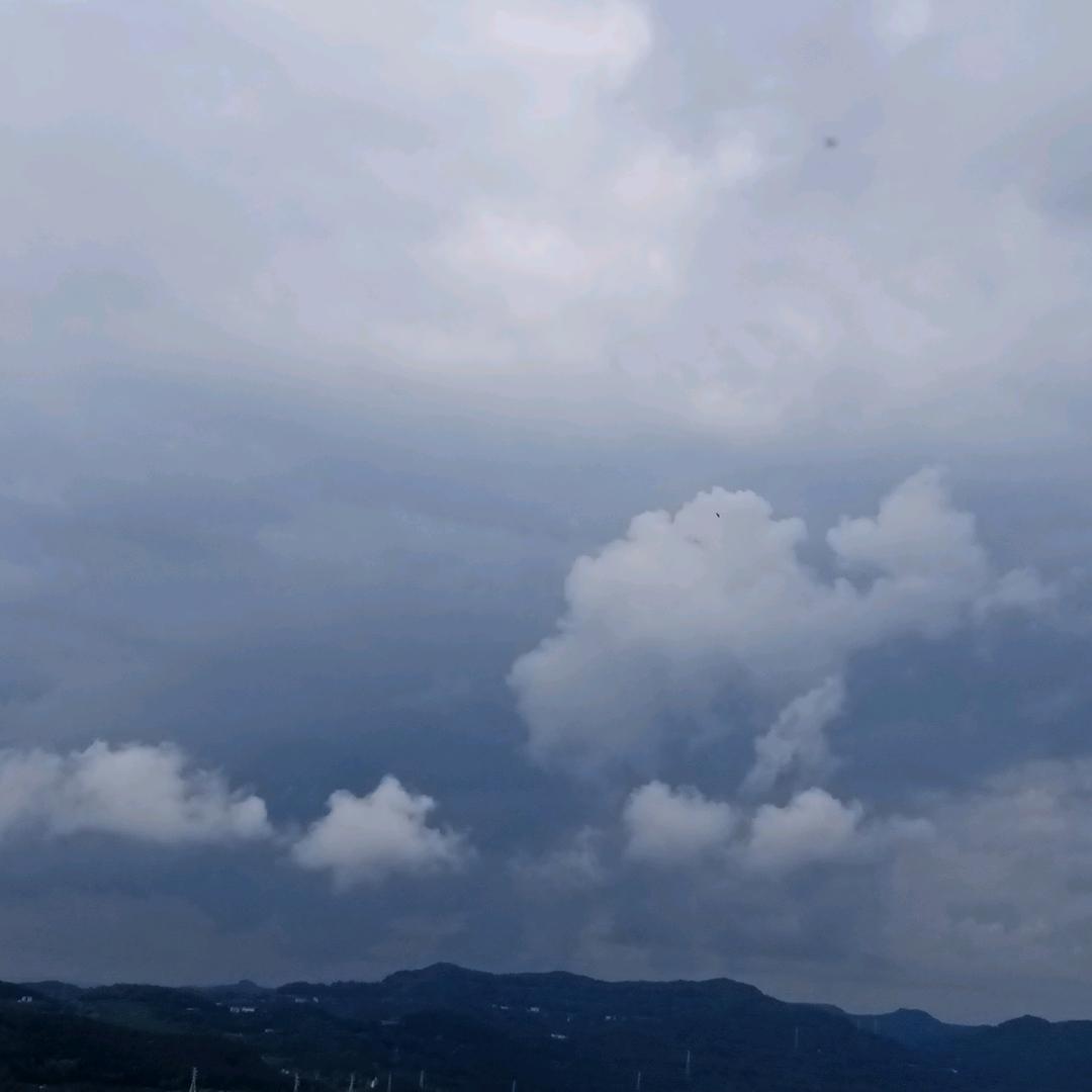 键鼠年